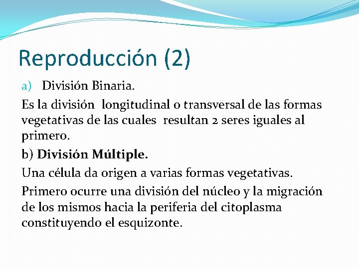 Reproducción (2) a) División Binaria. Es la división longitudinal o transversal de las formas