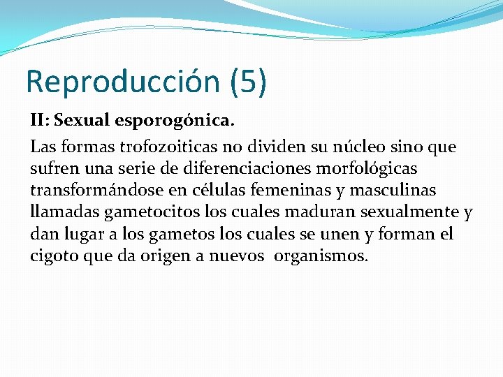 Reproducción (5) II: Sexual esporogónica. Las formas trofozoiticas no dividen su núcleo sino que