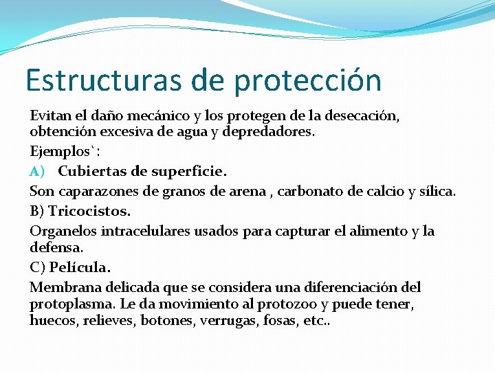 Estructuras de protección Evitan el daño mecánico y los protegen de la desecación, obtención