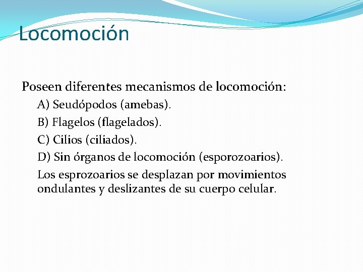 Locomoción Poseen diferentes mecanismos de locomoción: A) Seudópodos (amebas). B) Flagelos (flagelados). C) Cilios