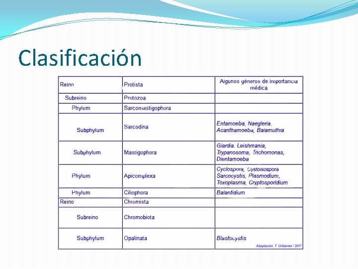 Clasificación 