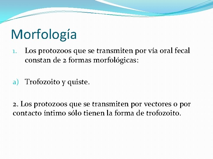 Morfología 1. Los protozoos que se transmiten por vía oral fecal constan de 2