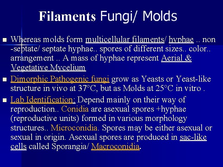 Filaments Fungi/ Molds n n n Whereas molds form multicellular filaments/ hyphae. . non