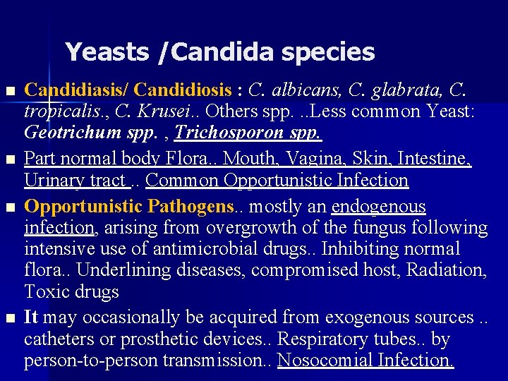 Yeasts /Candida species n n Candidiasis/ Candidiosis : C. albicans, C. glabrata, C. tropicalis.