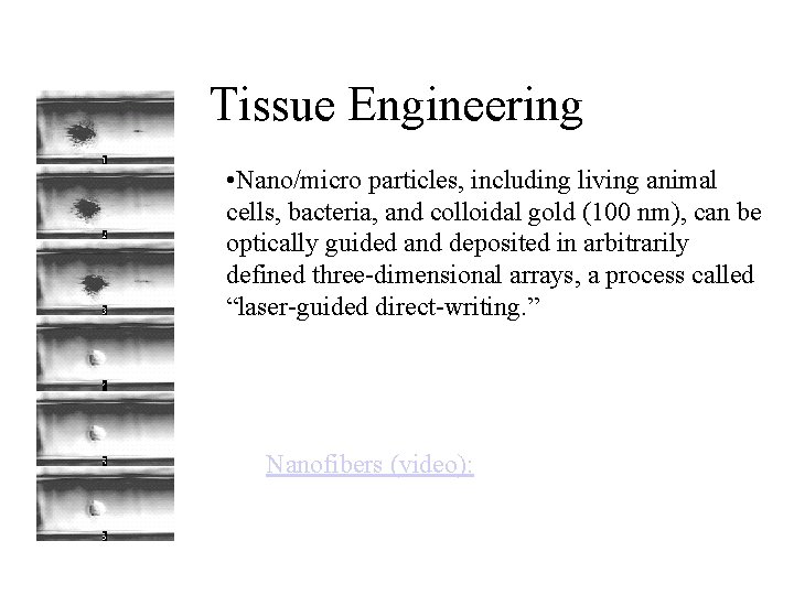 Tissue Engineering • Nano/micro particles, including living animal cells, bacteria, and colloidal gold (100