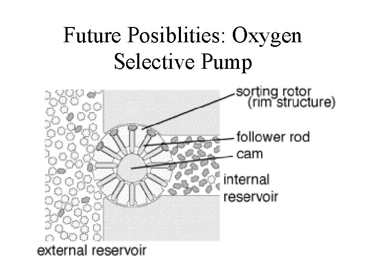 Future Posiblities: Oxygen Selective Pump 