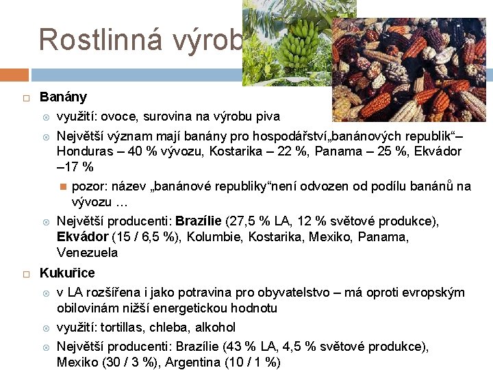 Rostlinná výroba Banány využití: ovoce, surovina na výrobu piva Největší význam mají banány pro