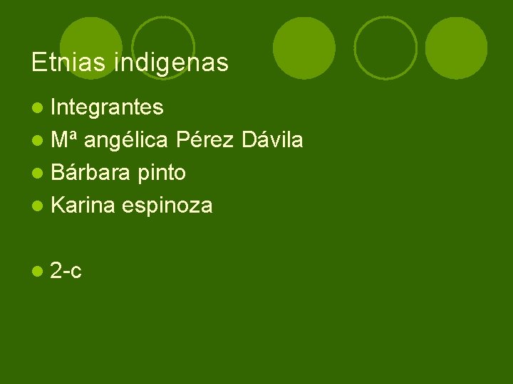 Etnias indigenas l Integrantes l Mª angélica Pérez Dávila l Bárbara pinto l Karina