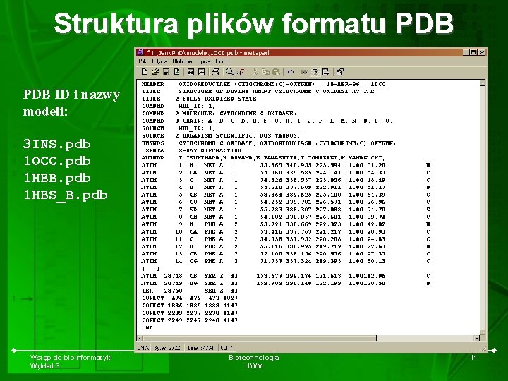 Struktura plików formatu PDB ID i nazwy modeli: 3 INS. pdb 1 OCC. pdb
