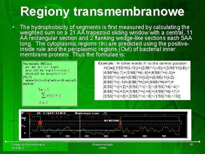 Regiony transmembranowe • The hydrophobicity of segments is first measured by calculating the weighted