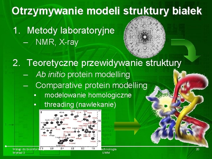 Otrzymywanie modeli struktury białek 1. Metody laboratoryjne – NMR, X-ray 2. Teoretyczne przewidywanie struktury