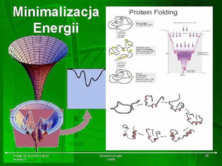 Minimalizacja Energii Wstęp do bioinformatyki Wykład 3 Biotechnologia UWM 25 
