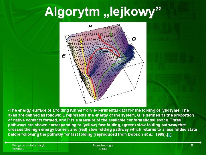 Algorytm „lejkowy” • The energy surface of a folding funnel from experimental data for