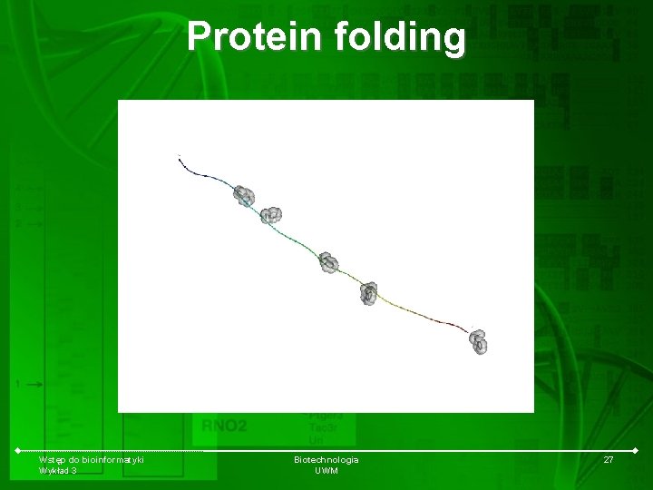 Protein folding Wstęp do bioinformatyki Wykład 3 Biotechnologia UWM 27 
