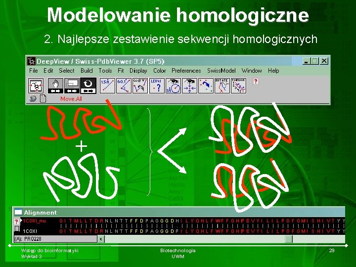 Modelowanie homologiczne 2. Najlepsze zestawienie sekwencji homologicznych + Wstęp do bioinformatyki Wykład 3 Biotechnologia