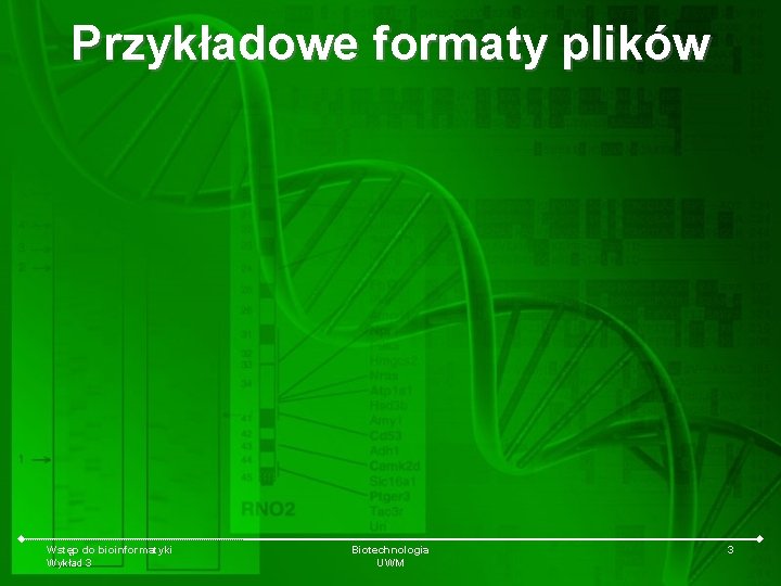 Przykładowe formaty plików Wstęp do bioinformatyki Wykład 3 Biotechnologia UWM 3 