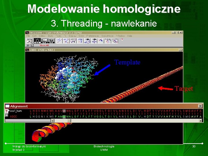 Modelowanie homologiczne 3. Threading - nawlekanie Template Target Wstęp do bioinformatyki Wykład 3 Biotechnologia