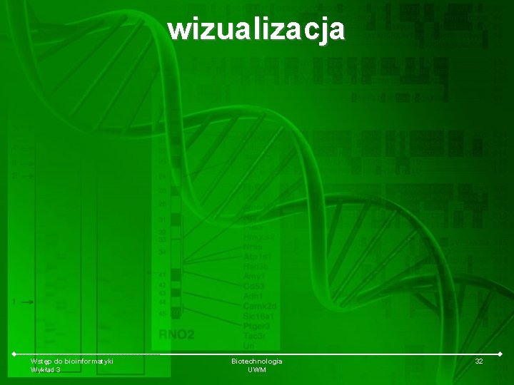 wizualizacja Wstęp do bioinformatyki Wykład 3 Biotechnologia UWM 32 