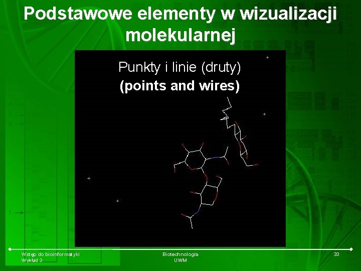 Podstawowe elementy w wizualizacji molekularnej Punkty i linie (druty) (points and wires) Wstęp do