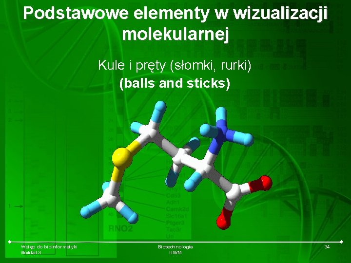 Podstawowe elementy w wizualizacji molekularnej Kule i pręty (słomki, rurki) (balls and sticks) Wstęp