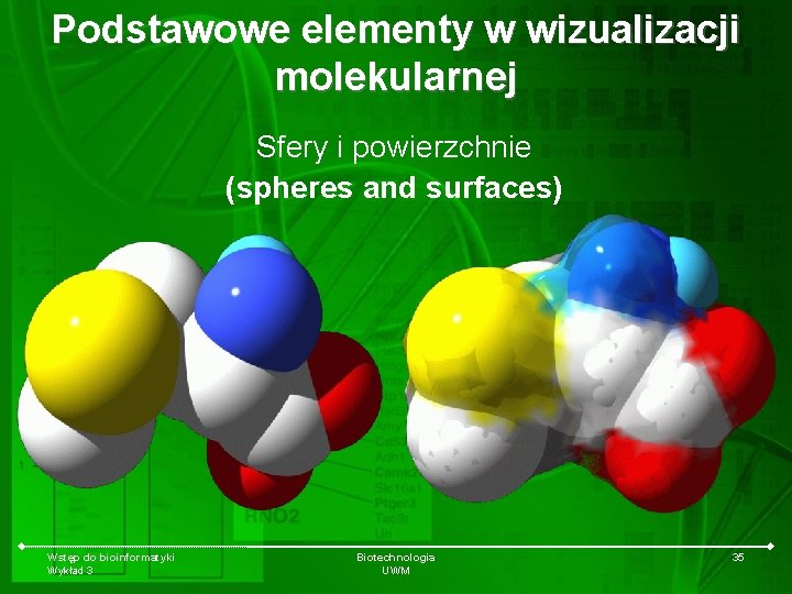 Podstawowe elementy w wizualizacji molekularnej Sfery i powierzchnie (spheres and surfaces) Wstęp do bioinformatyki