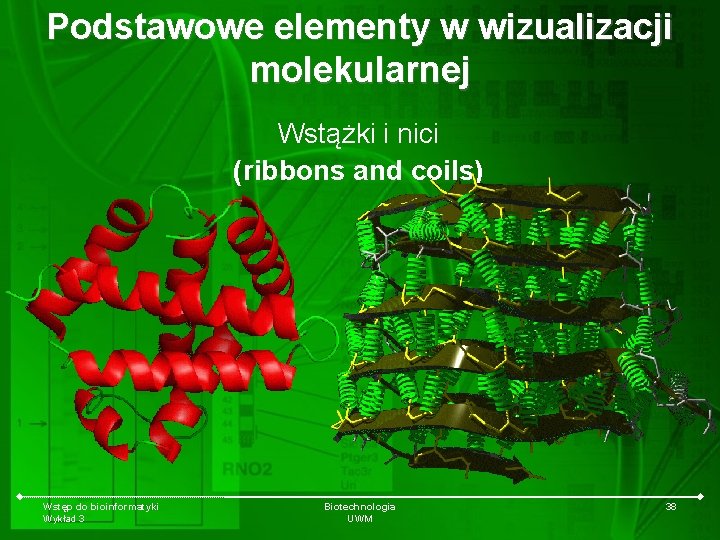 Podstawowe elementy w wizualizacji molekularnej Wstążki i nici (ribbons and coils) Wstęp do bioinformatyki