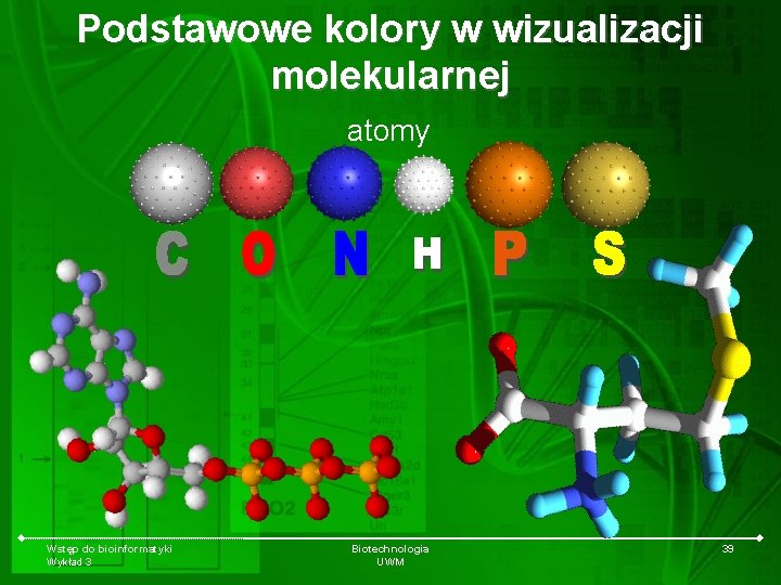 Podstawowe kolory w wizualizacji molekularnej atomy Wstęp do bioinformatyki Wykład 3 Biotechnologia UWM 39