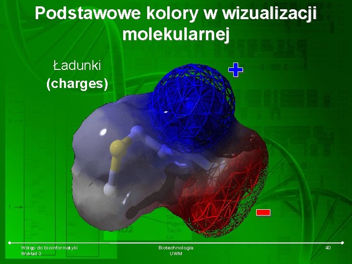 Podstawowe kolory w wizualizacji molekularnej Ładunki (charges) Wstęp do bioinformatyki Wykład 3 Biotechnologia UWM