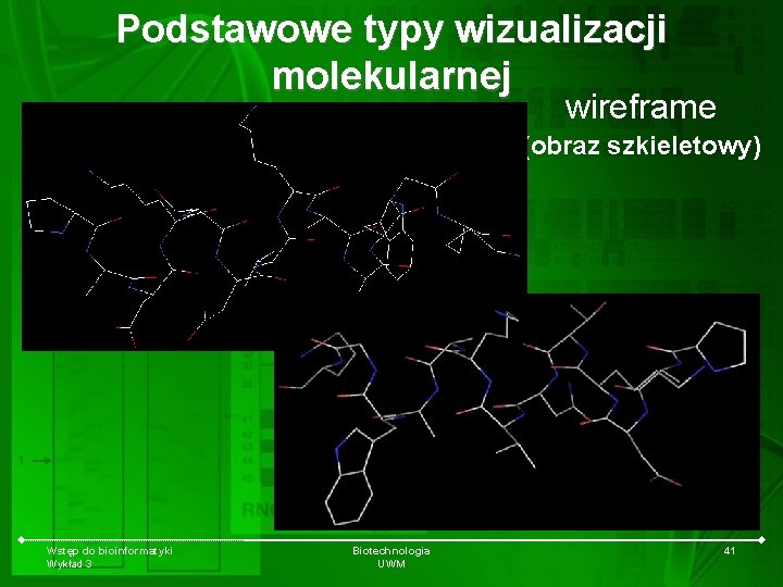 Podstawowe typy wizualizacji molekularnej wireframe (obraz szkieletowy) Wstęp do bioinformatyki Wykład 3 Biotechnologia UWM