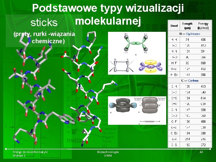 Podstawowe typy wizualizacji molekularnej sticks (pręty, rurki -wiązania chemiczne) Wstęp do bioinformatyki Wykład 3