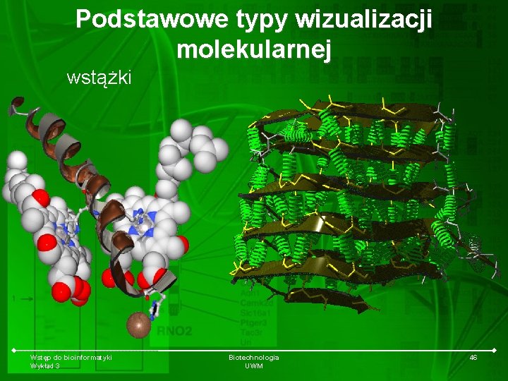Podstawowe typy wizualizacji molekularnej wstążki Wstęp do bioinformatyki Wykład 3 Biotechnologia UWM 46 