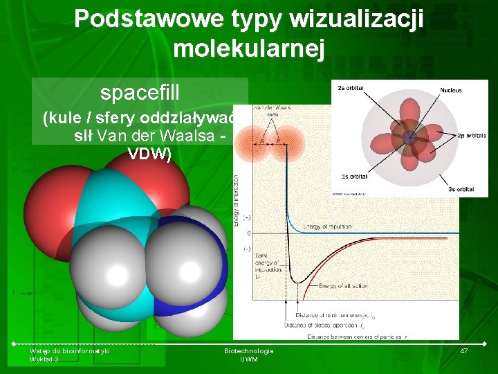 Podstawowe typy wizualizacji molekularnej spacefill (kule / sfery oddziaływać sił Van der Waalsa VDW)