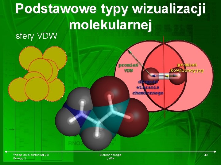 Podstawowe typy wizualizacji molekularnej sfery VDW Wstęp do bioinformatyki Wykład 3 Biotechnologia UWM 48