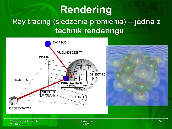 Rendering Ray tracing (śledzenia promienia) – jedna z technik renderingu Wstęp do bioinformatyki Wykład