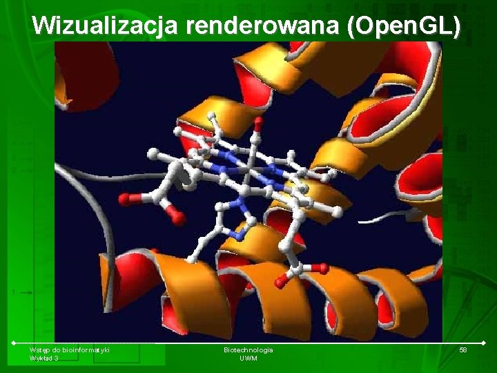 Wizualizacja renderowana (Open. GL) Wstęp do bioinformatyki Wykład 3 Biotechnologia UWM 58 