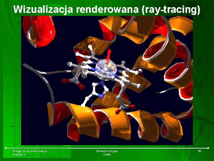 Wizualizacja renderowana (ray-tracing) Wstęp do bioinformatyki Wykład 3 Biotechnologia UWM 59 