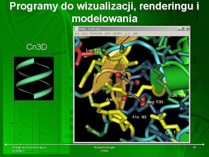 Programy do wizualizacji, renderingu i modelowania Cn 3 D Wstęp do bioinformatyki Wykład 3