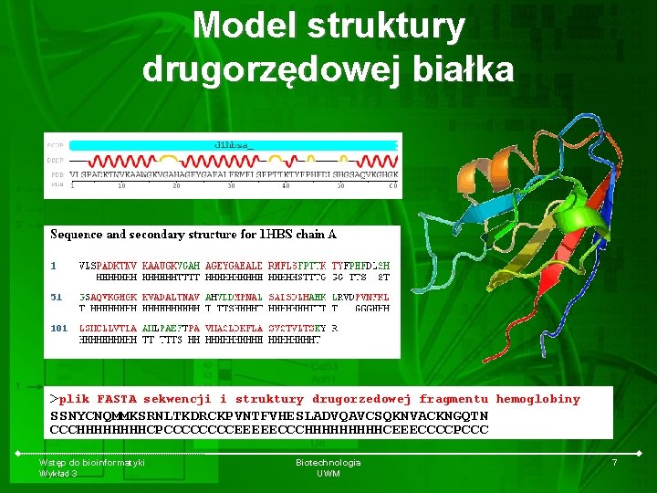 Model struktury drugorzędowej białka >plik FASTA sekwencji i struktury drugorzedowej fragmentu hemoglobiny SSNYCNQMMKSRNLTKDRCKPVNTFVHESLADVQAVCSQKNVACKNGQTN CCCHHHHCPCCCCEEEEECCCHHHHHCEEECCCCPCCC