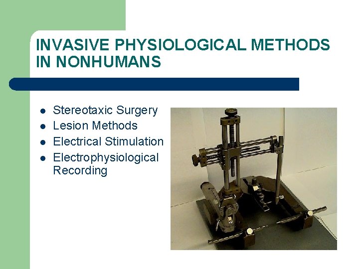 INVASIVE PHYSIOLOGICAL METHODS IN NONHUMANS l l Stereotaxic Surgery Lesion Methods Electrical Stimulation Electrophysiological