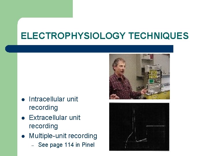 ELECTROPHYSIOLOGY TECHNIQUES l l l Intracellular unit recording Extracellular unit recording Multiple-unit recording –