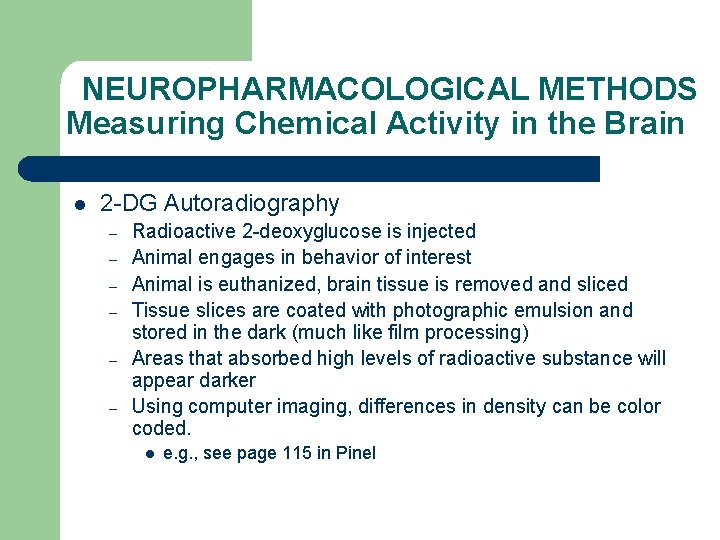 NEUROPHARMACOLOGICAL METHODS Measuring Chemical Activity in the Brain l 2 -DG Autoradiography – –