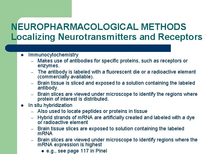 NEUROPHARMACOLOGICAL METHODS Localizing Neurotransmitters and Receptors l l Immunocytochemistry – Makes use of antibodies