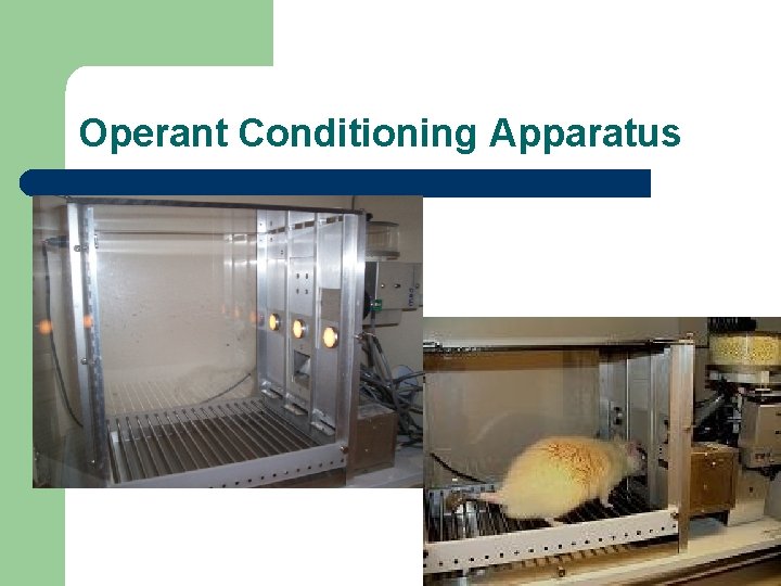 Operant Conditioning Apparatus 