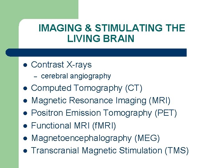 IMAGING & STIMULATING THE LIVING BRAIN l Contrast X-rays – l l l cerebral