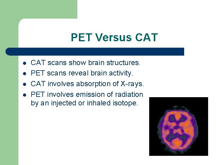 PET Versus CAT l l CAT scans show brain structures. PET scans reveal brain