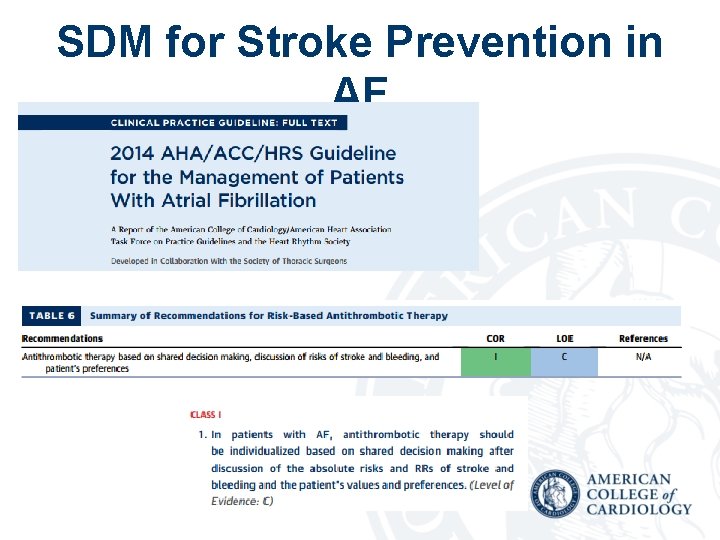 SDM for Stroke Prevention in AF 