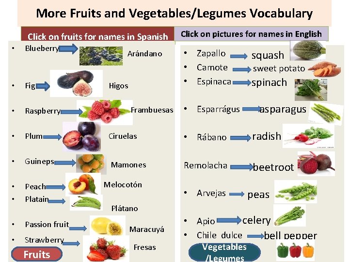 More Fruits and Vegetables/Legumes Vocabulary Click on fruits for names in Spanish • Blueberry