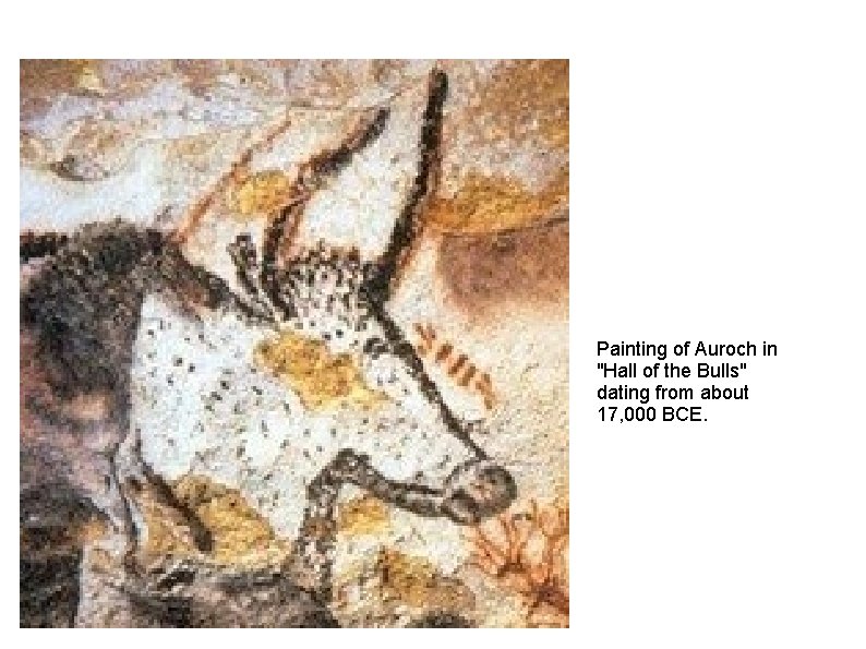 Painting of Auroch in "Hall of the Bulls" dating from about 17, 000 BCE.