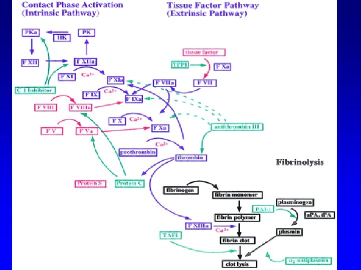 Thrombolytics 