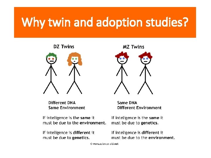 Why twin and adoption studies? 